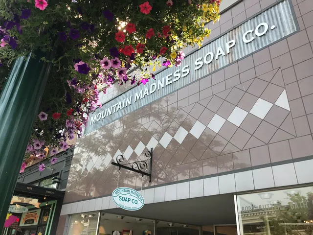 Mountain Madness Soap Co