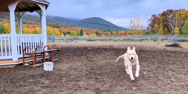 Lake George Dog Park