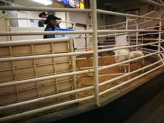 Muleshoe Livestock Auction Inc
