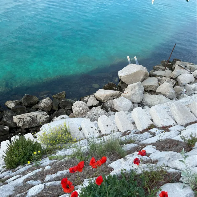 Apartments Perdijic Nemira