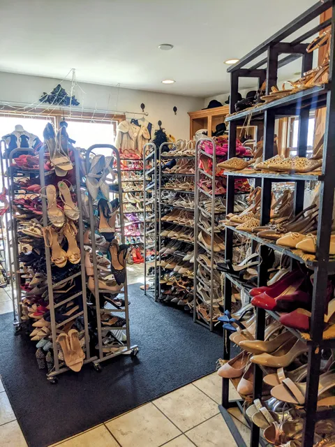 The Lion, The Niche & The Wardrobe Consignment Shop