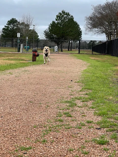 Baytown Bark Park