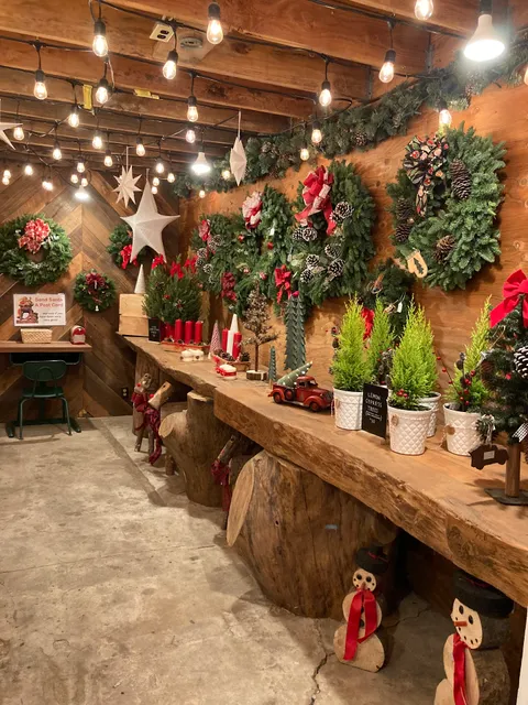 Patchen Tree Farm and Pumpkin Patch