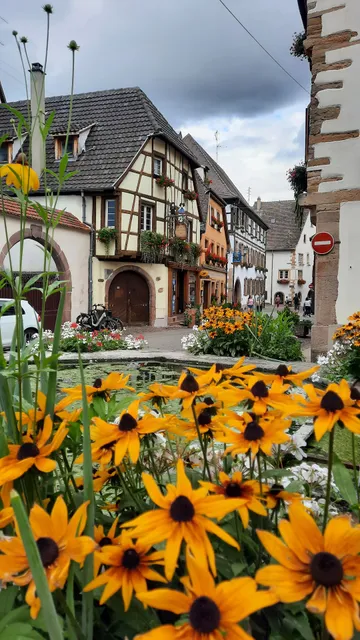 Eguisheim