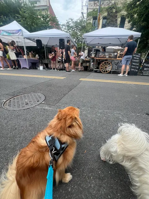 Bloomingdale Farmers Market