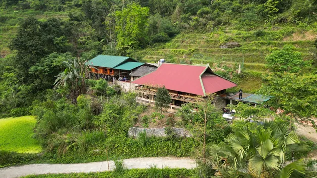 Bikki’s Jungle Homestay & Tea house