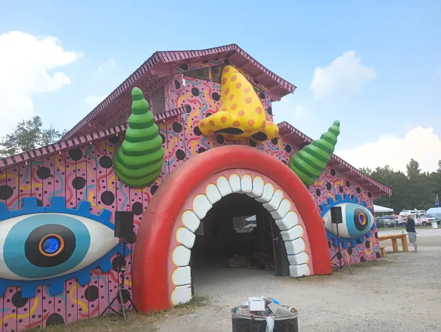 Bonnaroo Music & Arts Festival - DELIVERY ACCESS