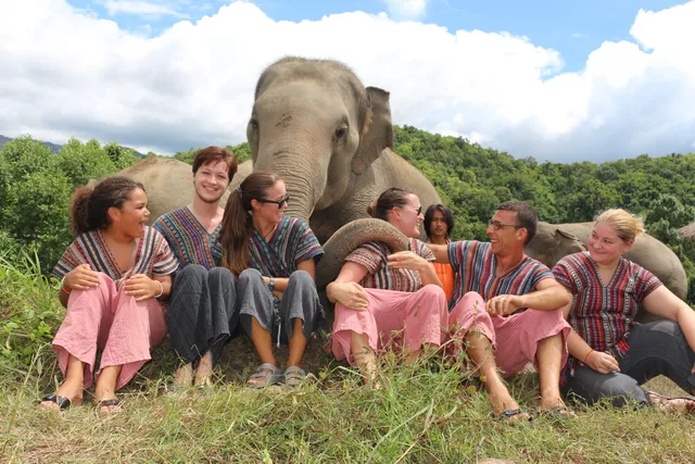 Chiangmai Elephant Legend - Elephant Sanctuary Head Office