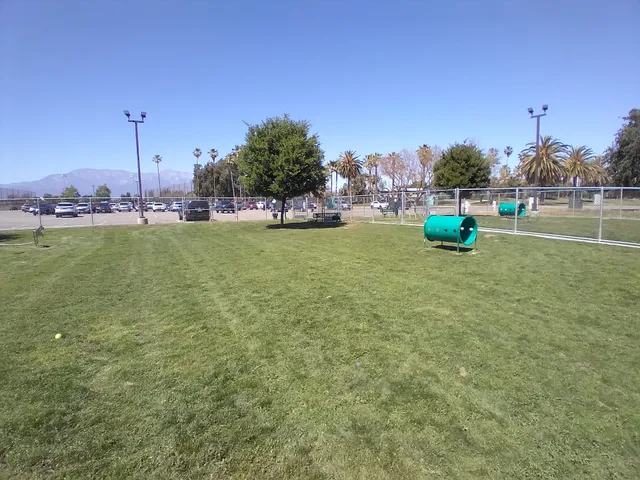 Dog's Park