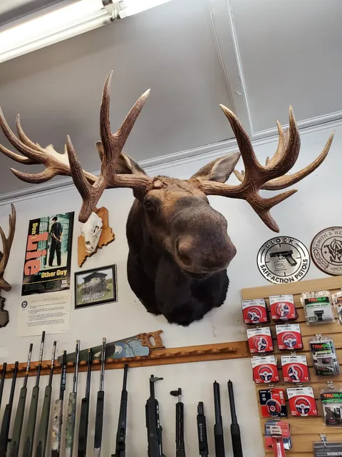 Johnson Sporting Goods Inc