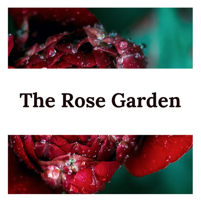 The Rose Garden