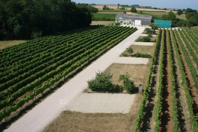 Domaine de la Roussille