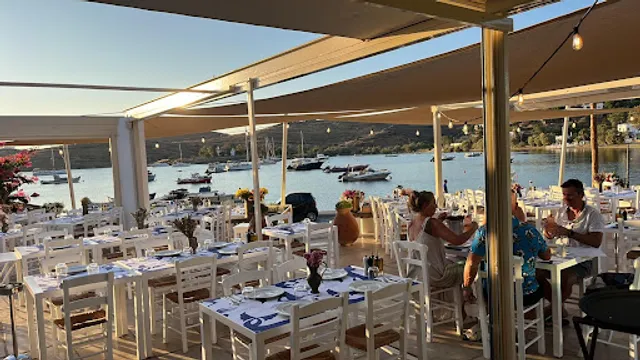 Cousteau all-bay stories