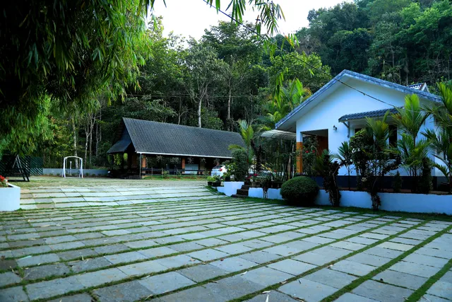 Wayanad brook valley