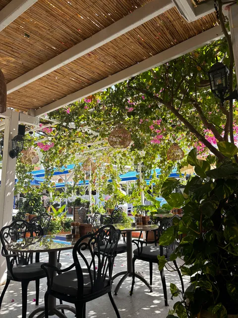 Mimoza Cafe Restaurant