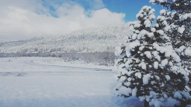 Little Colorado Cabins