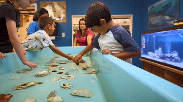 Eddie V. Gray Wetlands Education and Recreation Center