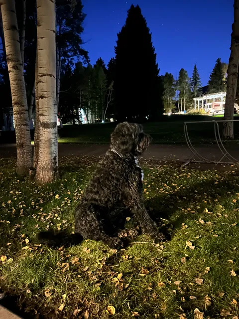 Aspen Restaurant Delivery | by à la Car | orderfoodAspen.com