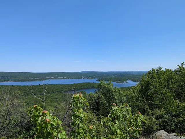 Norvin Green State Forest