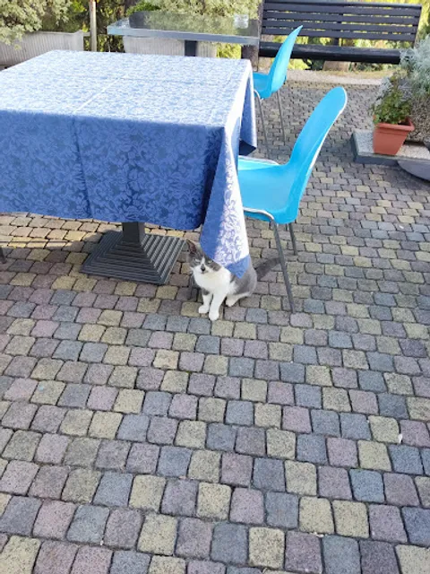 Osteria al Cacciatore