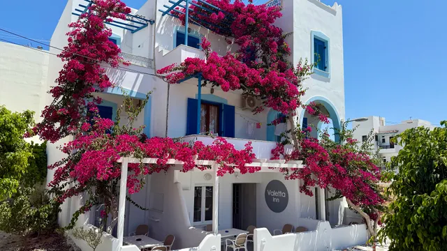 Rena Valetta Studios