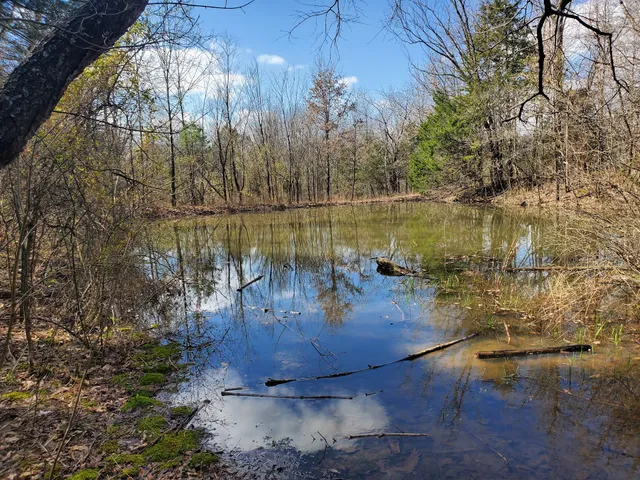 Pine Trail - Busch Wildlife