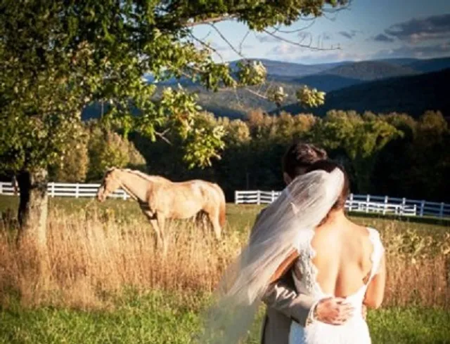 Stone Tavern Farm LLC