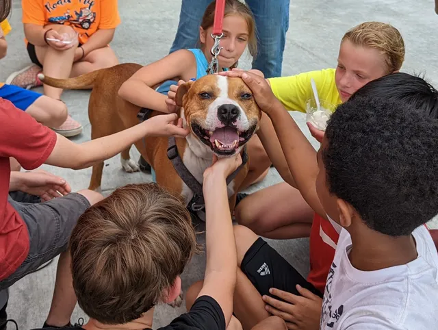 Grammy Rose Dog Rescue & Sanctuary