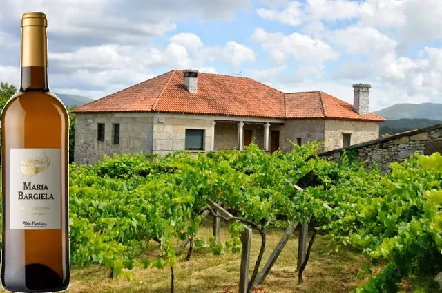 "María Bargiela" Bodega - Casa Rural