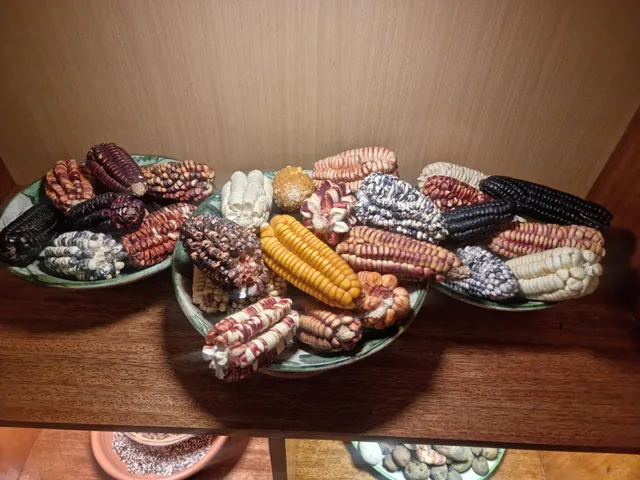 Que Chicha Restaurante