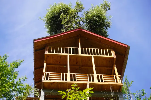 Treehouse Casa De Nature Jibhi