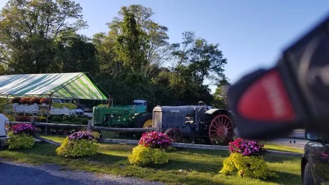 Hampton Fruit & Vegetable