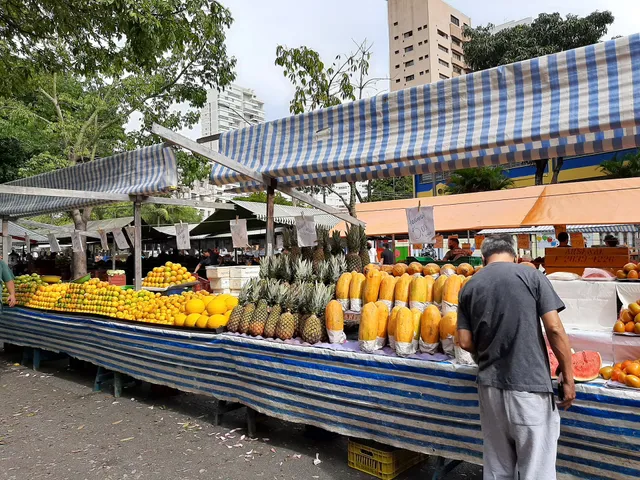 Feira Livre Da Aclimação - Sexta Feira (Avenida Engenheiro Luís Gomes Cardim Sangirardi)