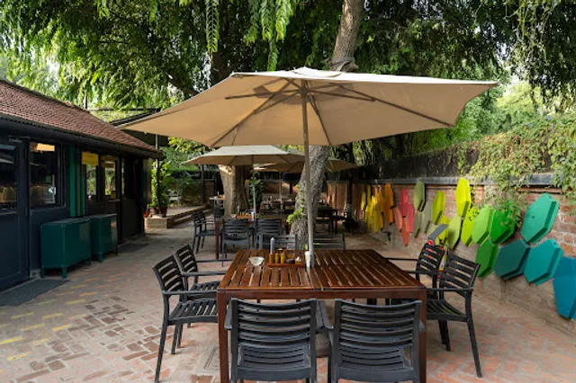 Bucky Gallery and Diner