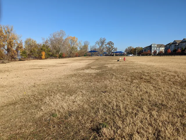 Mud Island Dog Park