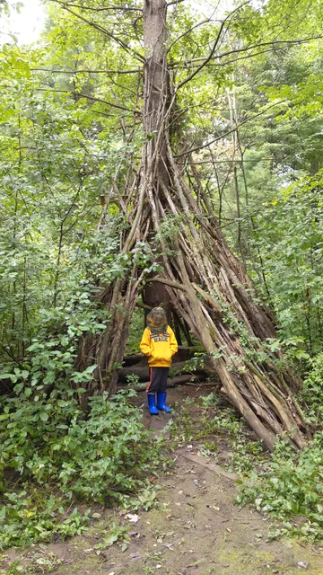 Chilson Woods Disc Golf Course