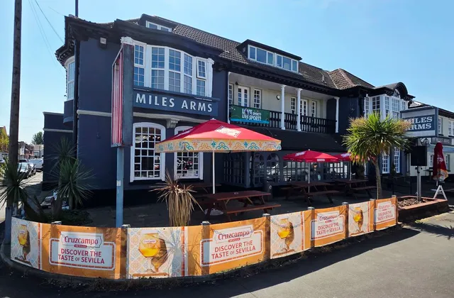 Miles arms