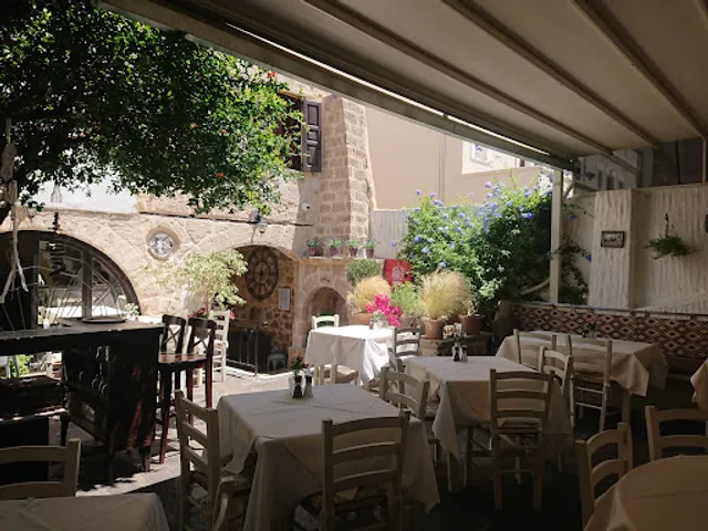 to Rodi Mediterranean Cuisine