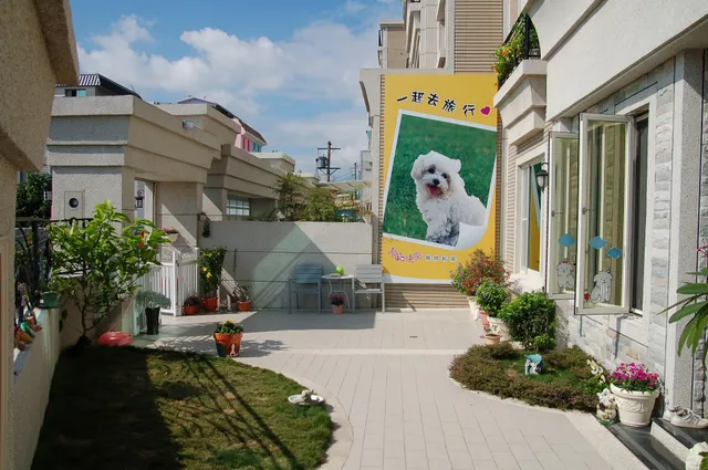 狗go快樂花蓮寵物民宿｜花蓮寵物友善住宿｜官網訂房更優惠