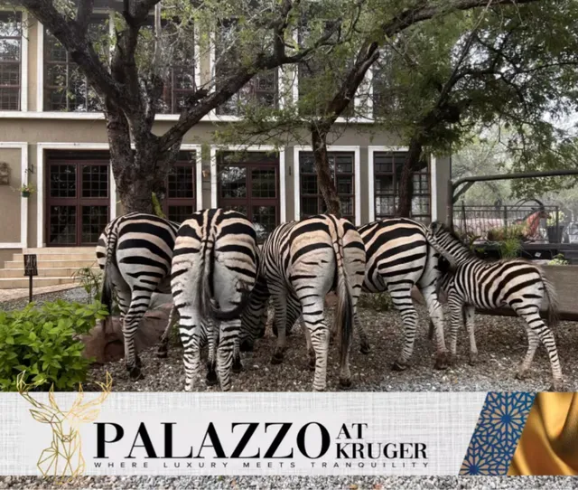 The Palazzo at Kruger