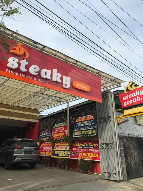 Steaky steak