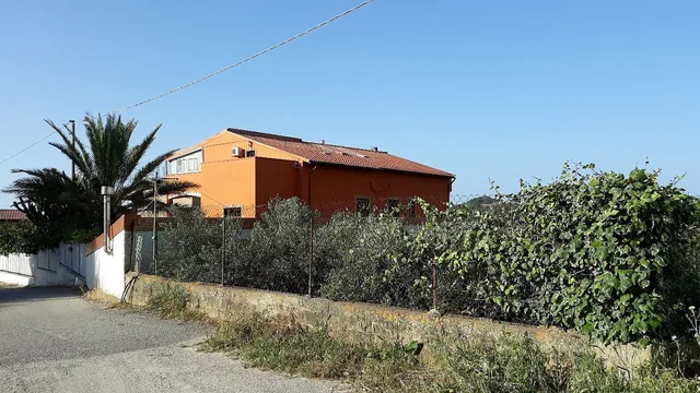 B & B as a flower child, Leo and Ginella