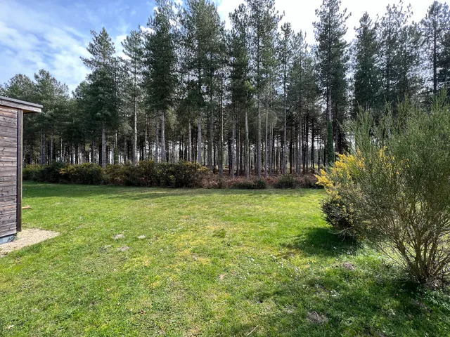 Center Parcs Check-In