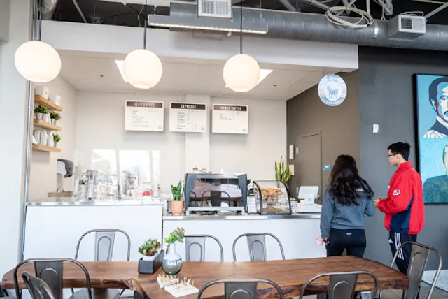 Blue Donkey Coffee Co.