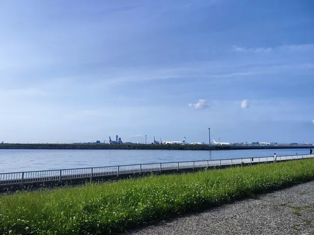 Keihinjima Tsubasa Park Barbecue Area