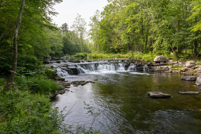 Paradise Price Preserve