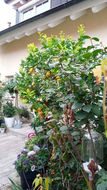 Ferienwohnung Baumann