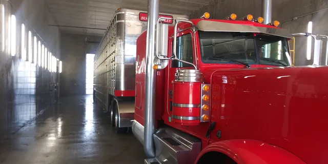 Royal Flush Truck & Trailer Washout