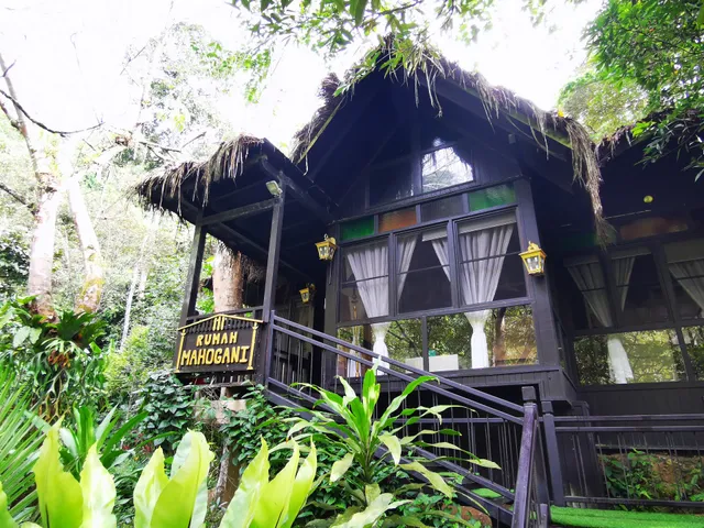 Tanah Aina Farrah Soraya