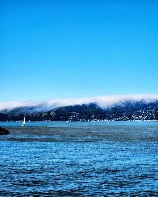 Angel Island - Tiburon Ferry